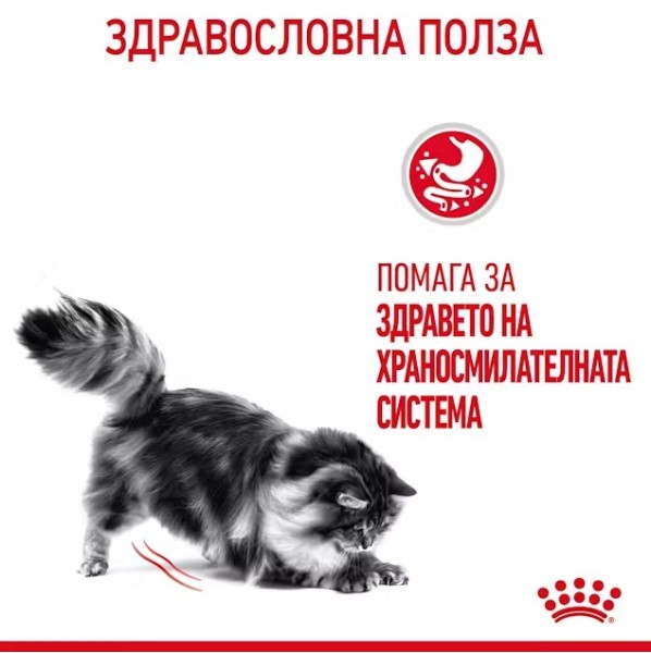 Royal Canin Digestive Care Gravy - Пълноценна мокра храна в пауч за котки над 12 месеца за подпомагане здравословното храносмилане
